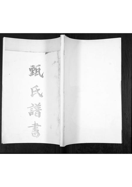 山东甄氏-甄氏谱书[不分卷].pdf电子版缩略图