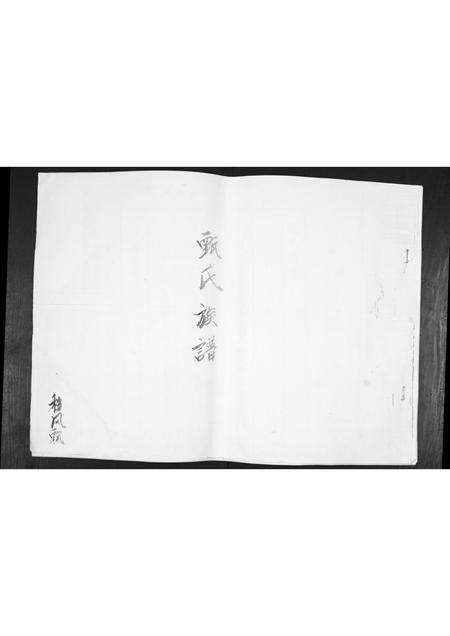 山东甄氏-甄氏谱书[不分卷].pdf电子版缩略图