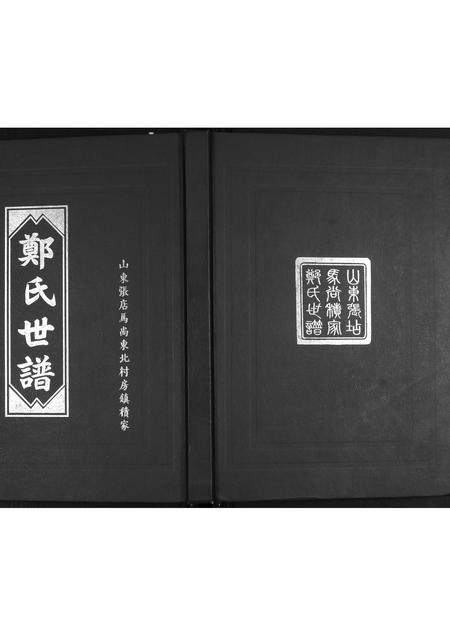 山东郑氏-郑氏世谱.pdf电子版缩略图