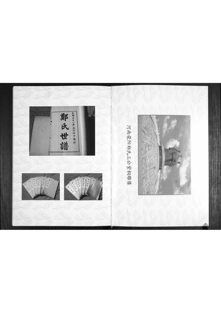山东郑氏-郑氏世谱.pdf电子版预览图2