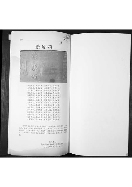 山东郑氏-郑氏大公支族谱.pdf电子版预览图1