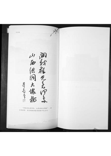 山东郑氏-郑氏大公支族谱.pdf电子版预览图3