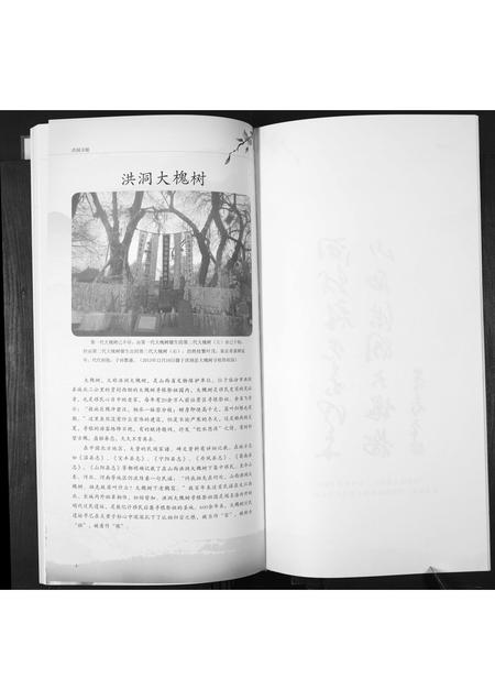 山东郑氏-郑氏大公支族谱.pdf电子版预览图4