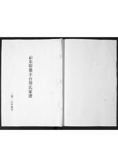 山东郑氏-郑氏家谱[不分卷].pdf电子版缩略图