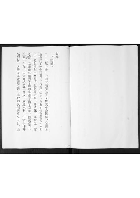 山东郑氏-郑氏家谱[不分卷].pdf电子版预览图5