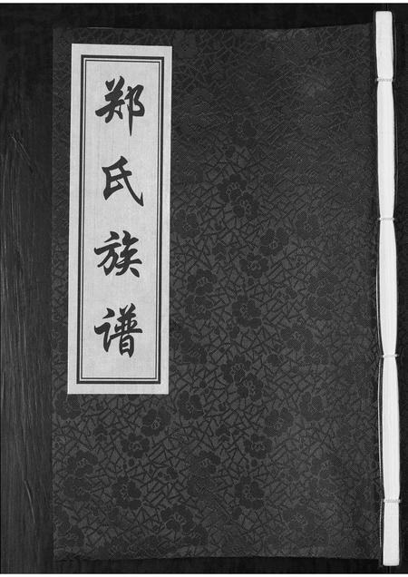 山东郑氏-郑氏族谱[不分卷].pdf电子版缩略图