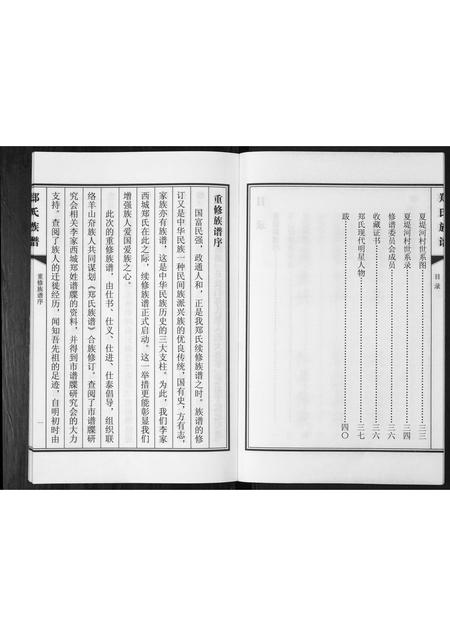 山东郑氏-郑氏族谱[不分卷].pdf电子版预览图4