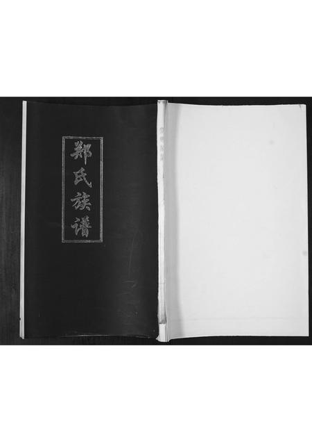 山东郑氏-郑氏族谱[不分卷].pdf电子版缩略图