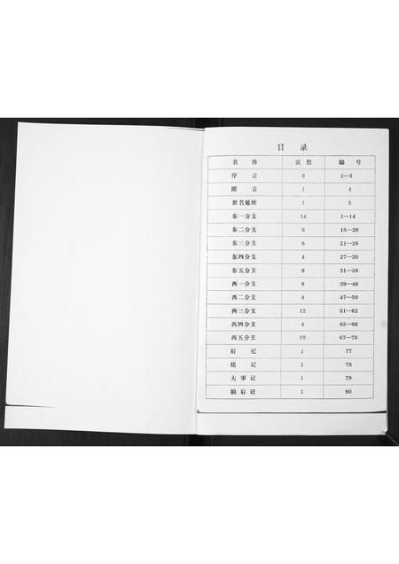 山东郑氏-郑氏族谱[不分卷].pdf电子版预览图2