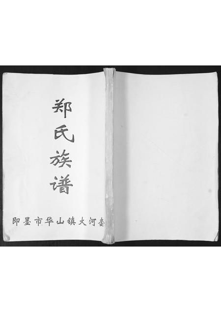 山东郑氏-郑氏族谱[不分卷].pdf电子版缩略图