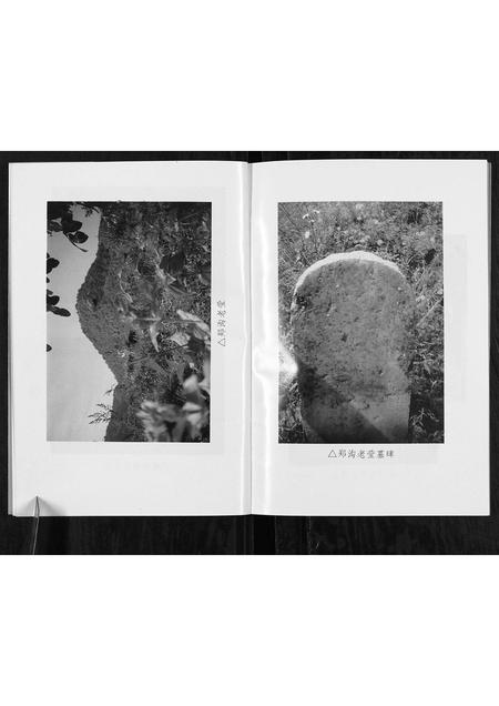 山西郑氏-郑氏家谱[不分卷].pdf电子版预览图4