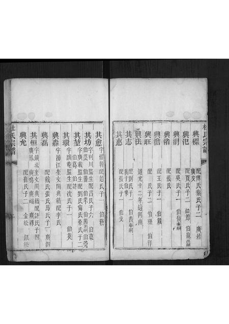 山东杜氏-杜氏宗谱[不分卷].pdf电子版预览图2