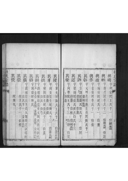 山东杜氏-杜氏宗谱[不分卷].pdf电子版预览图4