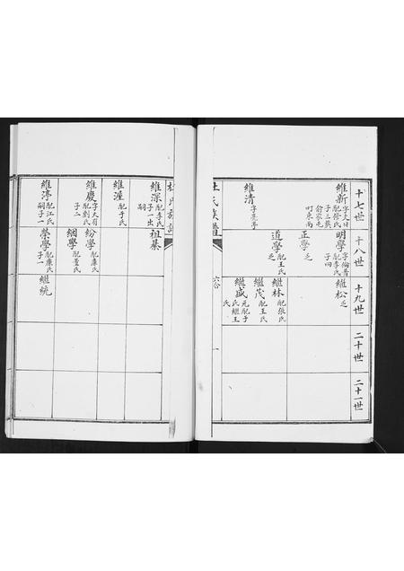 山东杜氏-杜氏族谱.pdf电子版预览图1