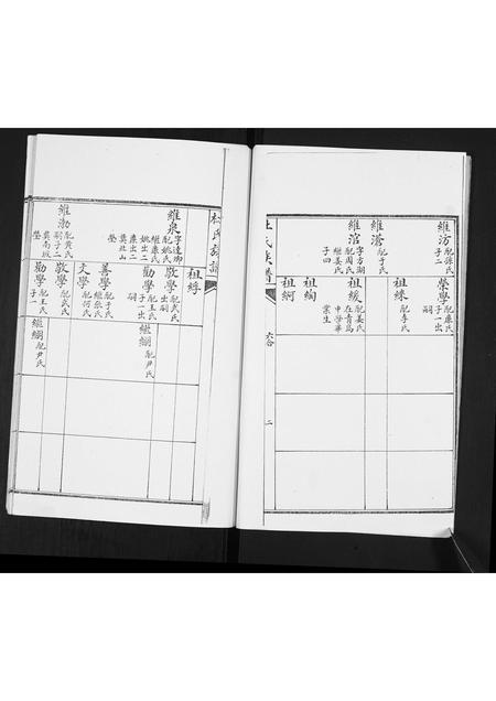 山东杜氏-杜氏族谱.pdf电子版预览图2