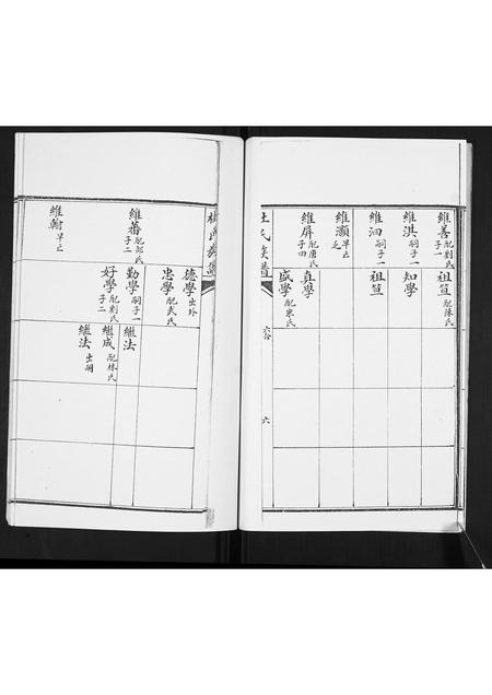 山东杜氏-杜氏族谱.pdf电子版预览图5