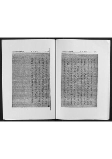 山东杜氏-杜氏族谱.pdf电子版预览图5