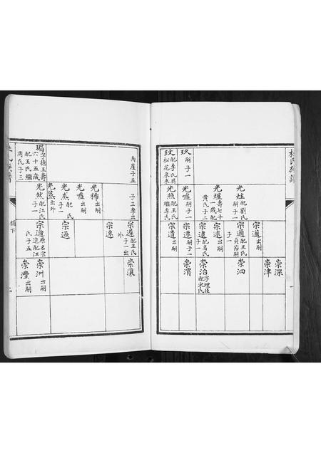 山东杜氏-杜氏族谱[2卷].pdf电子版预览图2