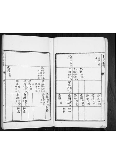 山东杜氏-杜氏族谱[2卷].pdf电子版预览图3