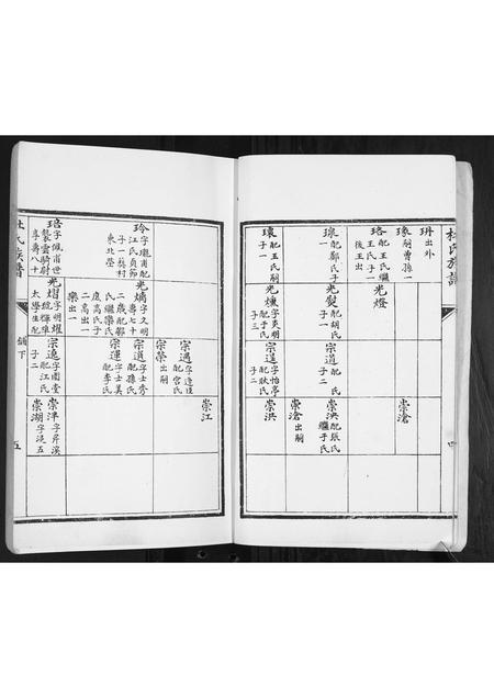 山东杜氏-杜氏族谱[2卷].pdf电子版预览图5