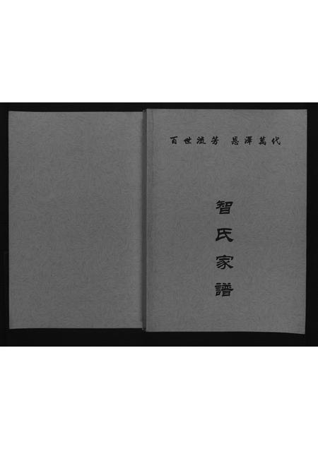 山西智氏-智氏家谱[不分卷].pdf电子版缩略图