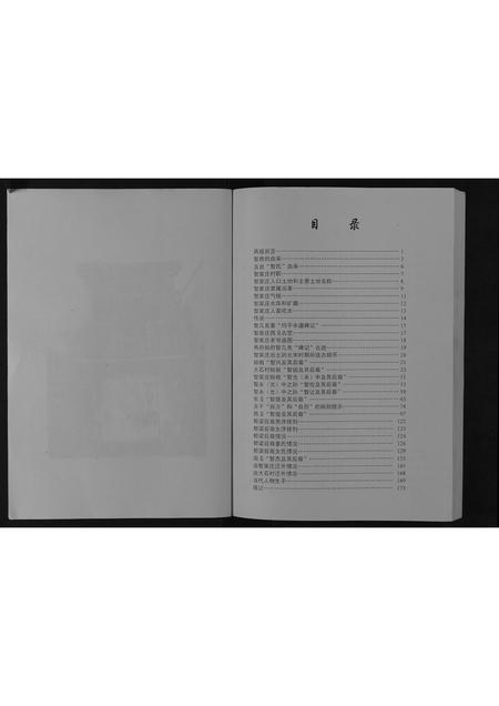 山西智氏-智氏家谱[不分卷].pdf电子版预览图4