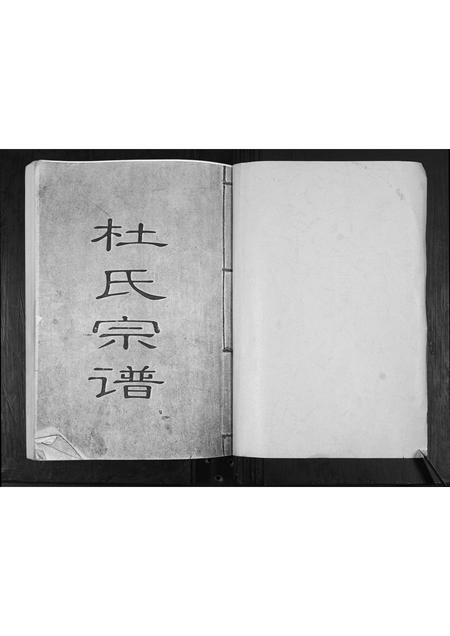 山东杜氏-杜氏族谱[不分卷].pdf电子版预览图1