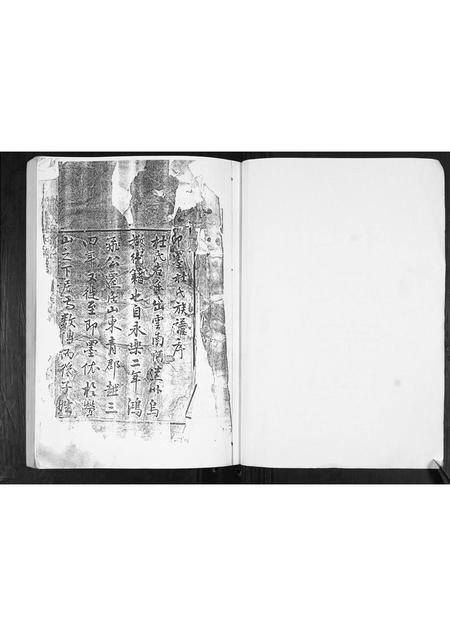 山东杜氏-杜氏族谱[不分卷].pdf电子版预览图2