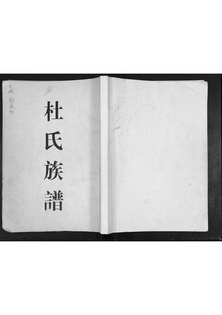 山东杜氏-杜氏族谱[不分卷].pdf电子版缩略图