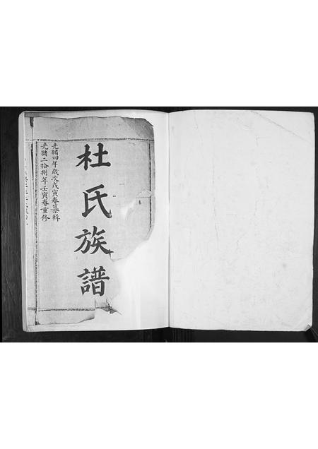 山东杜氏-杜氏族谱[不分卷].pdf电子版预览图1