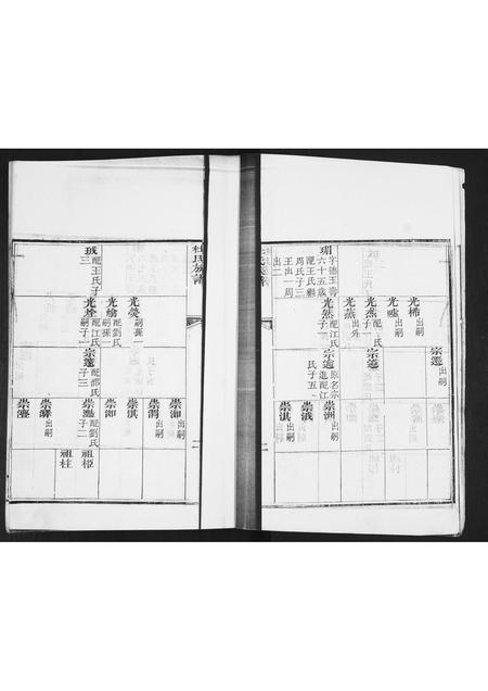 山东杜氏-杜氏族谱[不分卷].pdf电子版预览图2