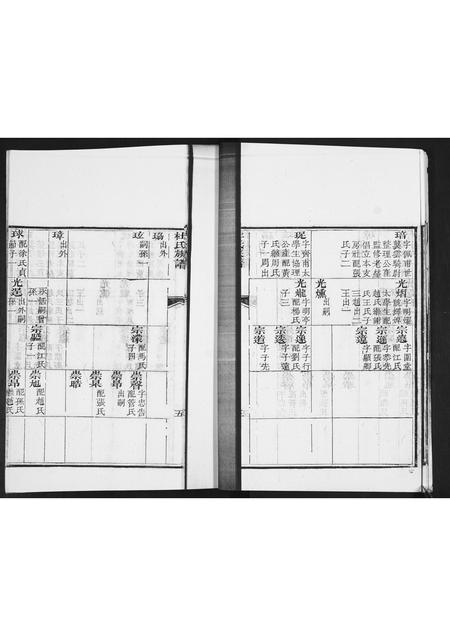 山东杜氏-杜氏族谱[不分卷].pdf电子版预览图5