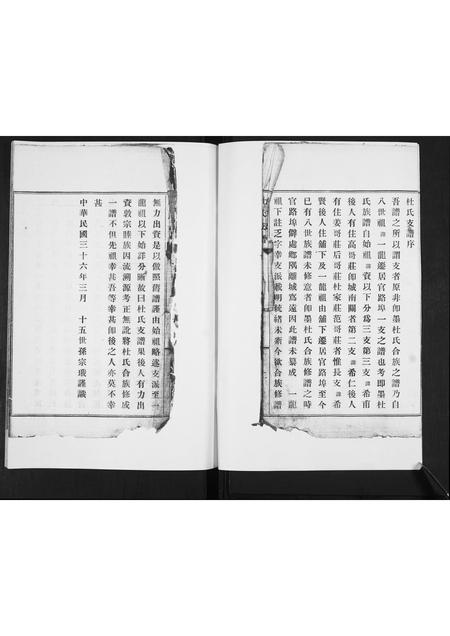 山东杜氏-杜氏族谱[不分卷].pdf电子版预览图2