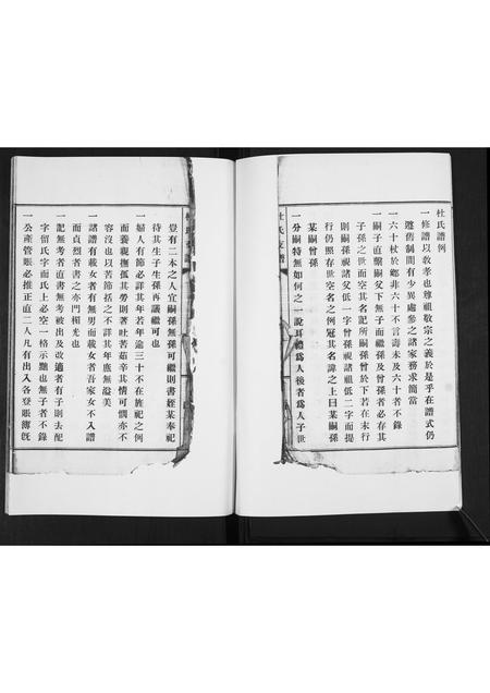 山东杜氏-杜氏族谱[不分卷].pdf电子版预览图4