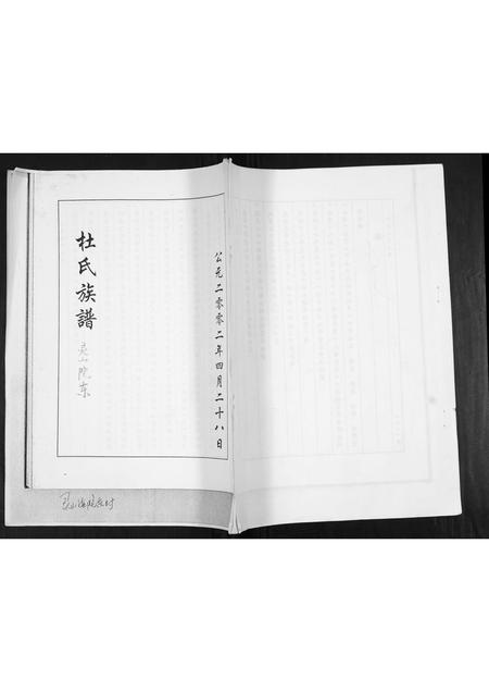 山东杜氏-杜氏族谱[不分卷].pdf电子版缩略图
