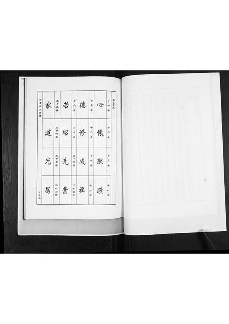 山东杜氏-杜氏族谱[不分卷].pdf电子版预览图4