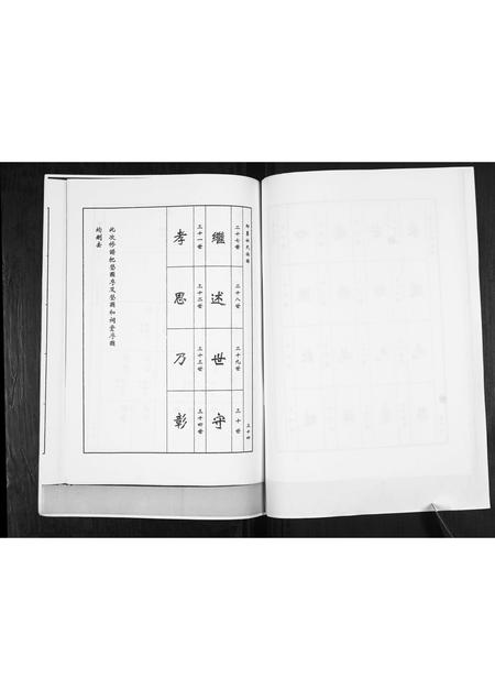 山东杜氏-杜氏族谱[不分卷].pdf电子版预览图5