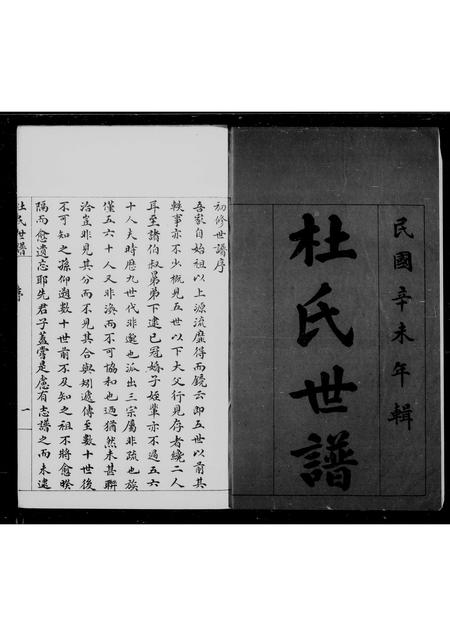 山东杜氏-滨县杜氏家乘(别名：杜氏世谱).pdf电子版缩略图