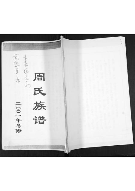 山东周氏-周氏族谱[不分卷].pdf电子版缩略图