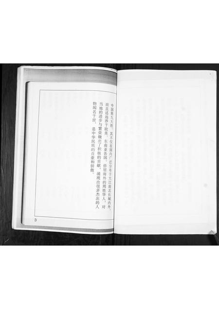 山东周氏-周氏族谱[不分卷].pdf电子版预览图3