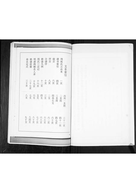 山东周氏-周氏族谱[不分卷].pdf电子版预览图4