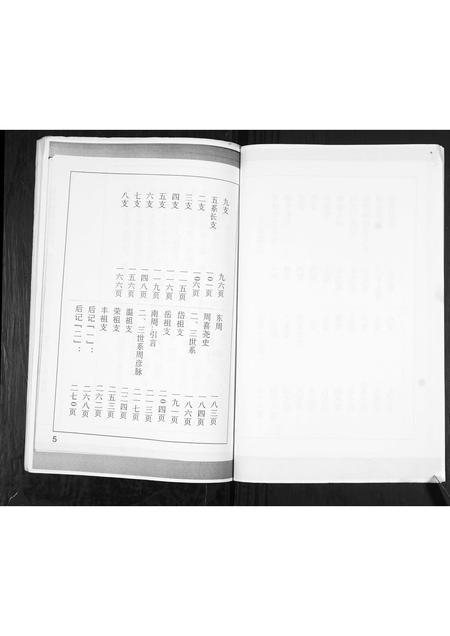 山东周氏-周氏族谱[不分卷].pdf电子版预览图5