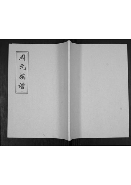 山东周氏-周氏族谱[不分卷].pdf电子版缩略图