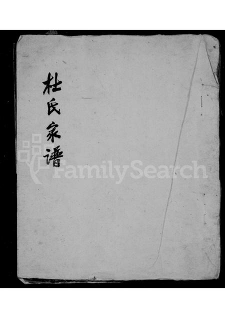 山西杜氏-杜氏家谱.pdf电子版缩略图