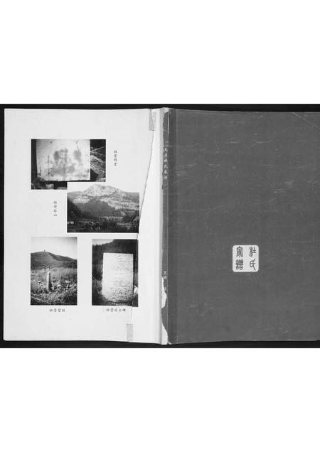 山西杜氏-杜氏家谱.pdf电子版缩略图