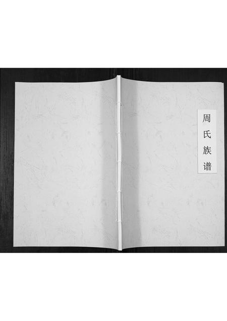 河北周氏-周氏族谱[不分卷].pdf电子版缩略图