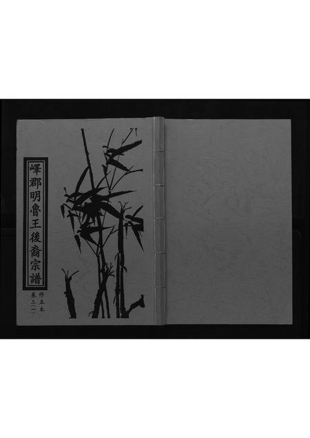 山东朱氏-朱氏宗谱[4卷首1卷].pdf电子版缩略图