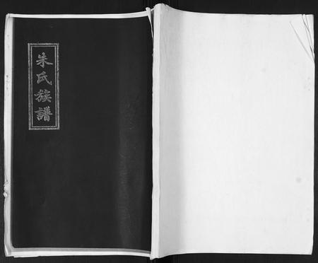 山东朱氏-朱氏族谱.pdf电子版缩略图