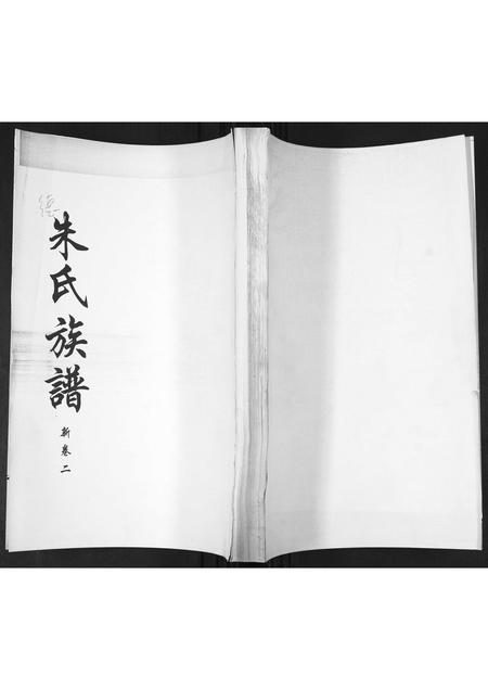 山东朱氏-朱氏族谱[2卷].pdf电子版缩略图