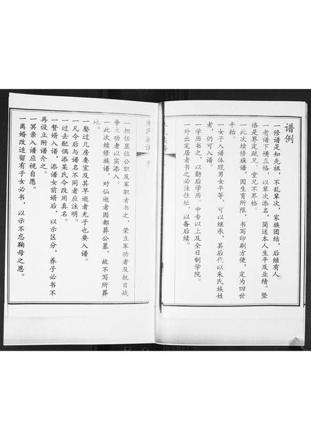 山东朱氏-朱氏族谱[2卷].pdf电子版预览图3